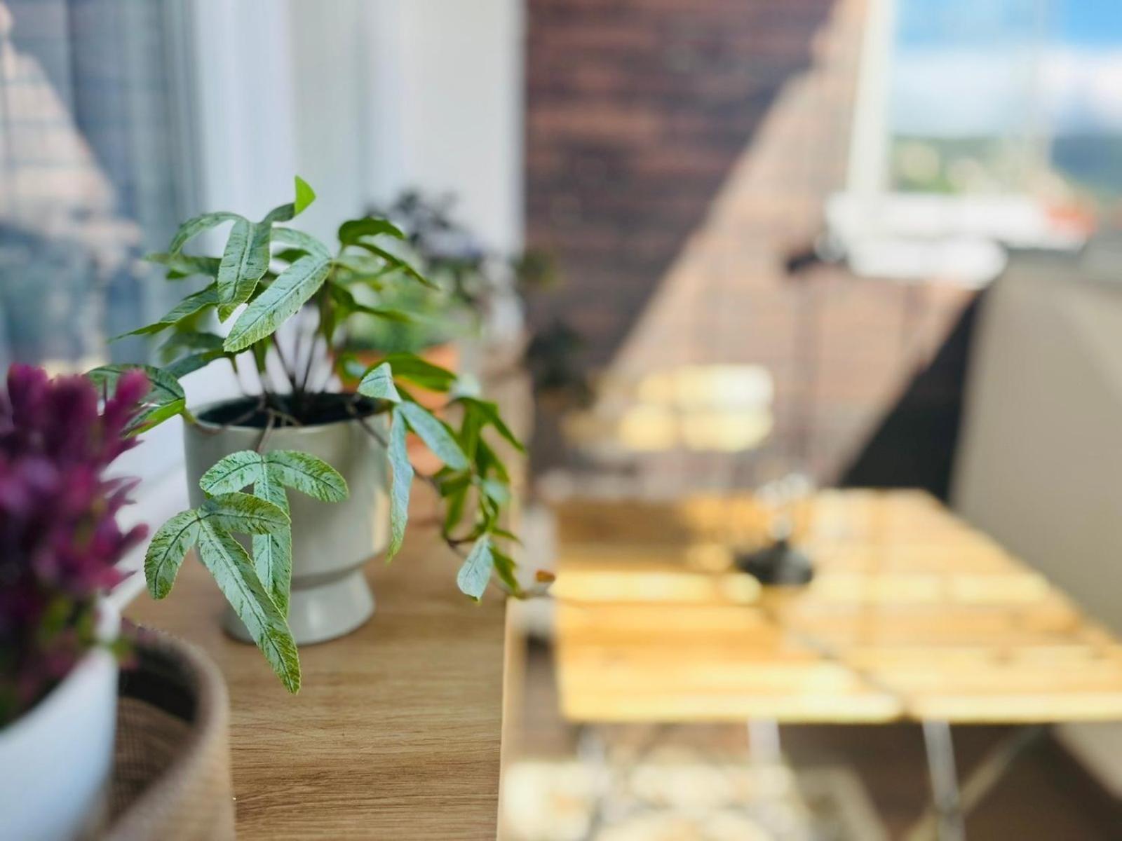 Mak Apartment - Free Parking - Balcony Σαράγεβο Εξωτερικό φωτογραφία